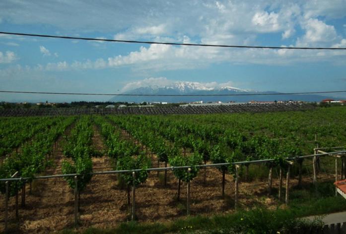 Bonaventura B&B And Bonaventura Food Tollo 外观 照片